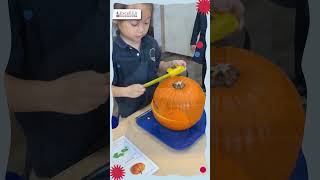 Fall Pumpkin Fun Montessori Activities #excelledmontessori