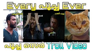 EVERY പൂച്ച EVER | പൂച്ച Troll Video | ANJAL DAZ