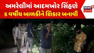 Amreli News : અમરેલીમાં આદમખોર સિંહણે 5 વર્ષીય બાળકીને શિકાર બનાવી | Gujarati Samachar | News18