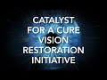 Catalyst for a Cure 2020 Progress Report - Vision Restoration