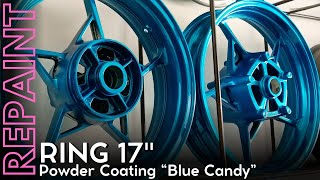 POWDER COATING RING 17 WARNA 