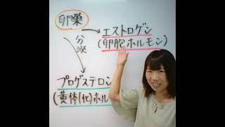 プロゲステロンは卵胞ホルモンである。〇or✕　#看護国試対策 #看護国試 #第113回看護師国家試験 #絶対合格 #さわ研究所