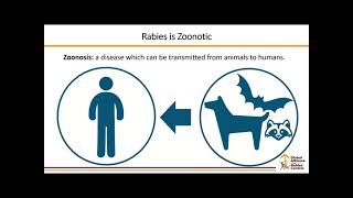 Rabies in the US Facts, not Fear. World Rabies Day 2021 Webinar