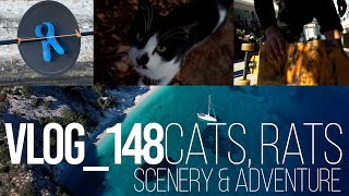 ITHACA - Cats, Rats and Adventure!