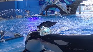 One Ocean (Full Show/HD) August 17, 2016 - SeaWorld Orlando