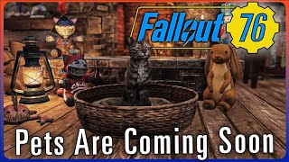 Pets Are Confirmed And Coming Soon To Fallout 76