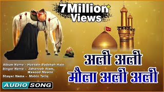 Ali Ali Maula Ali Ali - Beautiful Qawwali Video Song - (Muharram Special Audio)