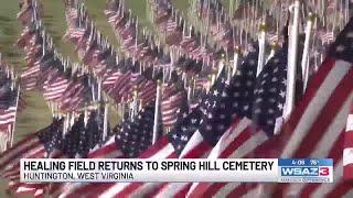 'Healing Field' returns to Spring Hill Cemetery