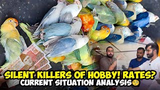 Silent Killers Of Hobby ! | Rates? Current Situation Analysis 🧐