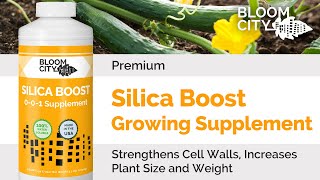 Bloom City | Premium Silica Boost | Plant Growing Supplement