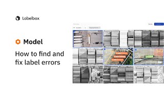 How to find and fix label errors