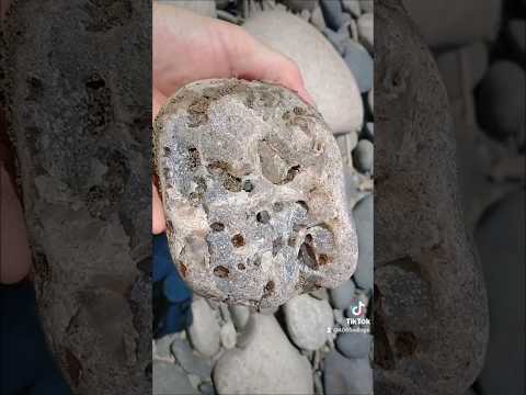 Rockhounding The Yellowstone River For Agates #rockhounding #thefinders ...