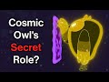 Decoding the Cosmic Owl's Role in Adventure Time