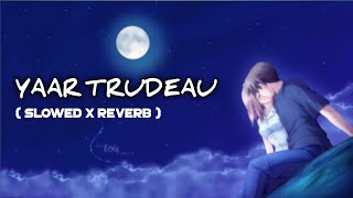 Yaar Tredeau 🥰 ( Slowed x Reverb ) Version Song ❤️