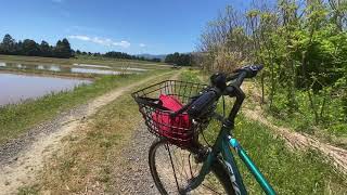 今日、とても天気がいい☀️自転車で加茂湖に行ってきました。加茂湖、美しい✨近くの湖鏡庵も、素敵！