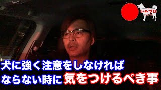 犬に強く注意しなければいけない時に気を付けるべき事　PSDドッグサポートセンター　いぬプロ　inupro