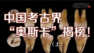 中国考古界“奥斯卡”揭榜！2019中国十大考古新发现（上）20200830|《考古公开课》CCTV科教