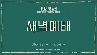 [주님의빛교회] 새벽예배| 여호수아 18:1~10 | 박구 목사 || 2025년 1월 27일