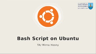 Bash Script