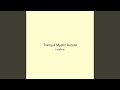 Tranquil Mystic Aurora