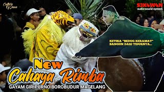 Kewan Kewan New Cahaya Rimba | Bedug Keramat Bangun Dari Tidurnya | Gayam Giripurno Borobudur