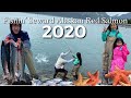 Seward Alaska Snagging Salmon - #How to snag Salmon #fishing #Alaska