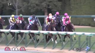 阪神ジュベナイルフィリーズ　2015