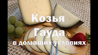 Сыр Гауда из козьего молока  Мастер класс