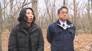 Kiusu Earthwork Burial Circles (Chitose City)