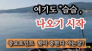 주차하고 처마밑에서 낚시 즐기기(#바다낚시 #생활낚시)