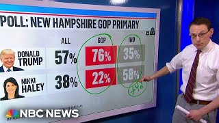 Poll: Trump maintains lead over Haley in New Hampshire after DeSantis suspends campaign