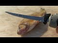 how to fillet fish freshwater