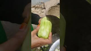 আমাদের গাছের লাউ বানানো ভিডিও