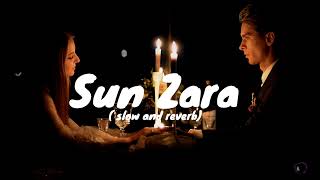 sun Zara Song । slow and reverb song । Sonu Nigam #trending #slowedreverb