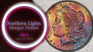 CoinWeek: Toned Morgan Dollars of the Northern Lights Collection, Part 1 - 4K Video