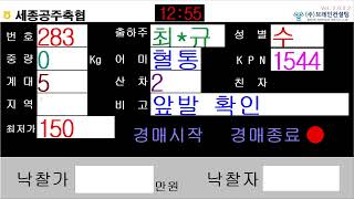 세종공주축협님의 실시간 스트림