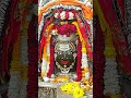 श्री महाकालेश्वर मंदिर 17.2.25 hindutemple hindudeity mahakal mahadev youtubeshorts shorts