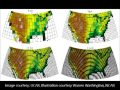 Numerical weather prediction and Data Assimilation