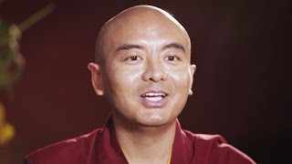 Meditação: conselho para quem lê muito, mas quase não pratica | Mingyur Rinpoche on theory x pratice