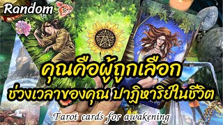 🌈🪬เช็คพลังงาน พลังงานดึงดูดปาฏิหาริย์ เพราะคุณคือผู้ถูกเลือก #random #tarot #reels #tarotreading