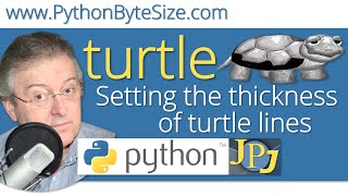 Setting the thickness of Python turtle lines