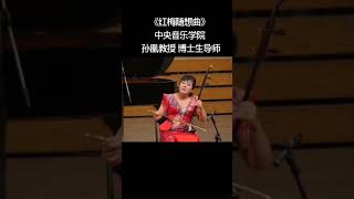 二胡《红梅随想曲》-孙凰 Erhu \