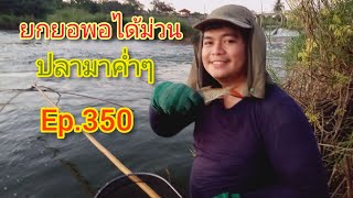 ยกยอพอได้ม่วนปลามาค่ำๆ 21/11/64 Ep.350