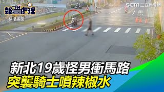 新北19歲怪男衝馬路「轉圈圈」　突襲騎士噴辣椒水｜三立新聞網SETN.com