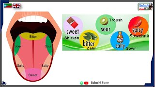 Learn Balochi Language: Common Tastes