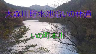 大森川ダム貯水池沿いの林道上り線