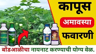 कापूस अमावस्या फवारणी | kapus bondali niyantran | कापूस बोंड आळी नियंत्रण | कापूस फवारणी