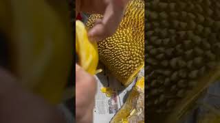 # jackfruit നല്ല മധുരമുള്ള💫 ചക്ക കിട്ടി 🤔ഒന്ന് കഴിച്ചാൽ സൂപ്പറായിരിക്കും🔥👌😋😋 എല്ലാരും കഴിക്ക🙏🔥