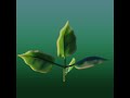 Subsurface Scattering Study Blender 3.3.1   😎