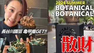 【BOTANICAL BOTANICAL】アガベ パキプス 亀甲竜目白押し‼︎イベントレポート&購入品紹介　ボタニカルボタニカル